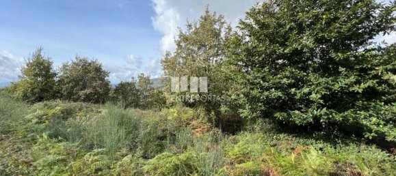  قطعة أرض في Baiao, Portugal 9661متر مربع رقم 59411 20