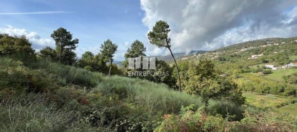  قطعة أرض في Baiao, Portugal 9661متر مربع رقم 59411 7