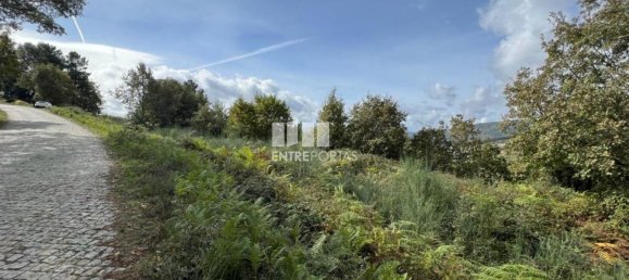  قطعة أرض في Baiao, Portugal 9661متر مربع رقم 59411 13