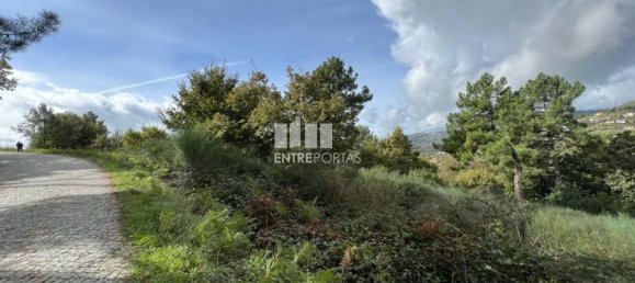  قطعة أرض في Baiao, Portugal 9661متر مربع رقم 59411 23