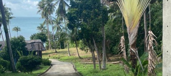  Commercial property in Surat Thani, Thailand No. 14203 7