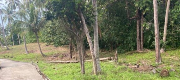  Commercial property in Surat Thani, Thailand No. 14203 8