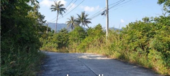  Commercial property in Surat Thani, Thailand No. 14203 6