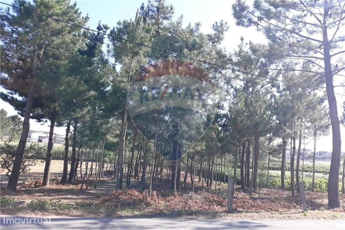 1330m² Land in Maceira, Portugal No. 57861