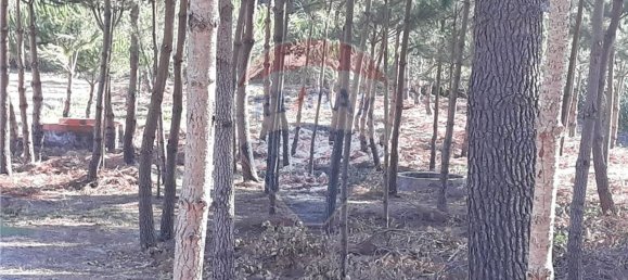 1330m² Land in Maceira, Portugal No. 57861 2