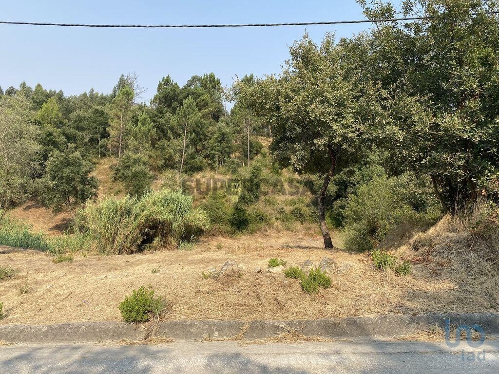 Grundstück in Leiria, Portugal 2200m², Nr. 281071