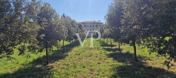 10 rooms Villa in Calci, Italy No. 29530 25