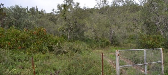 65000m² Hotel in Corfu, Greece No. 6884 6