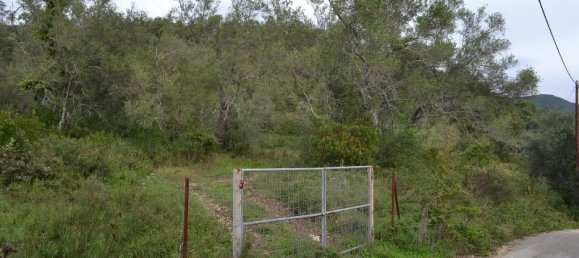 65000m² Hotel in Corfu, Greece No. 6884 4