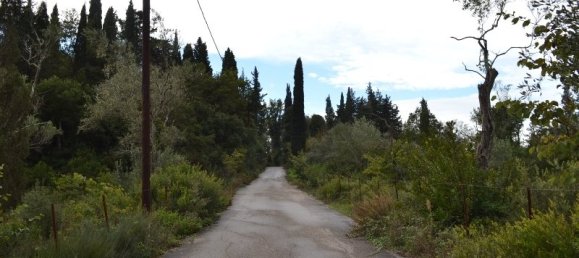 65000m² Hotel in Corfu, Greece No. 6884 7