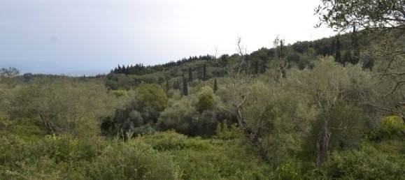 65000m² Hotel in Corfu, Greece No. 6884 2