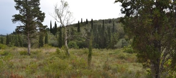 65000m² Hotel in Corfu, Greece No. 6884 8