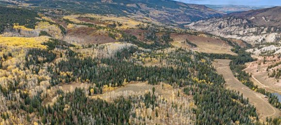 Hotel in Gypsum, USA 22.79m², Nr. 96 19