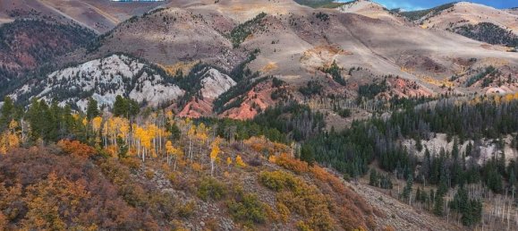 Hotel in Gypsum, USA 22.79m², Nr. 96 24