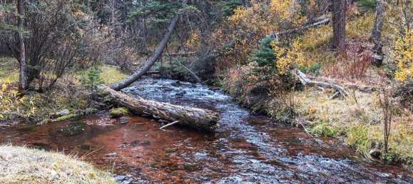 Hotel in Gypsum, USA 22.79m², Nr. 96 23