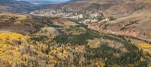 Hotel in Gypsum, USA 22.79m², Nr. 96 16