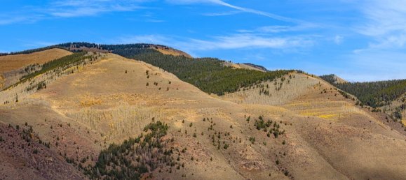 Hotel in Gypsum, USA 22.79m², Nr. 96 10