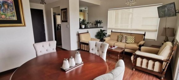 Studio-Eigentumswohnung in San Jose, Costa Rica, Nr. 1162 2