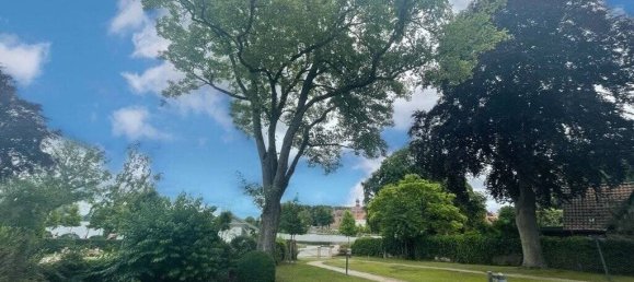 1 bedroom Apartment in Ostholstein, Germany No. 31291 2