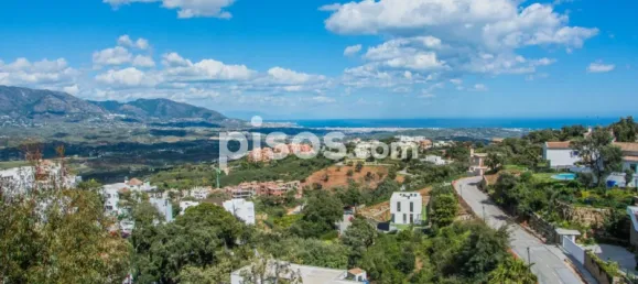  Land in Ojen, Spain No. 81346 2