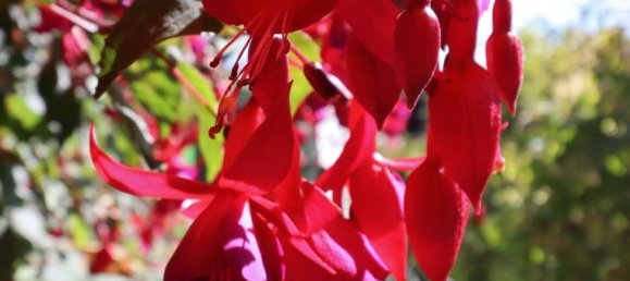 4 rooms Bungalow in Hanover, Germany No. 327212 22