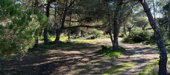 Terreno en Sesimbra, Portugal 1100 m² No. 83338 4