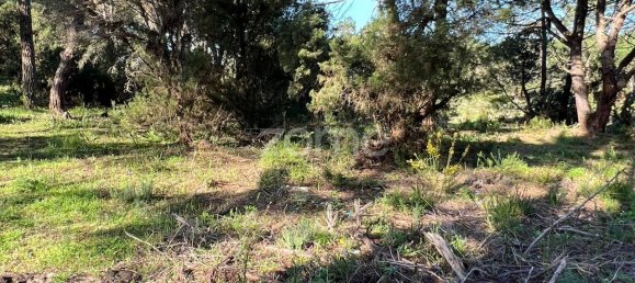 Terreno en Sesimbra, Portugal 1100 m² No. 83338 3