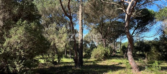 Terreno en Sesimbra, Portugal 1100 m² No. 83338 9