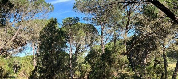 Terreno en Sesimbra, Portugal 1100 m² No. 83338 8