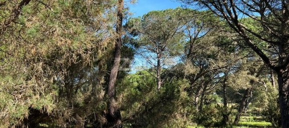 Terreno en Sesimbra, Portugal 1100 m² No. 83338 5