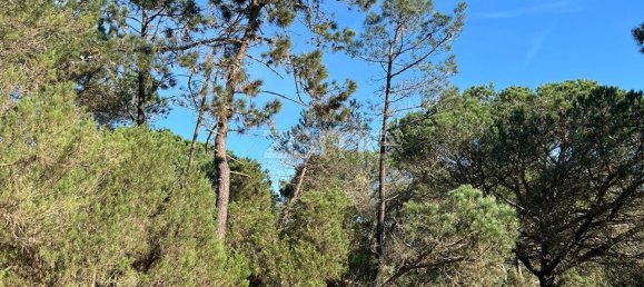 Terreno en Sesimbra, Portugal 1100 m² No. 83338 6