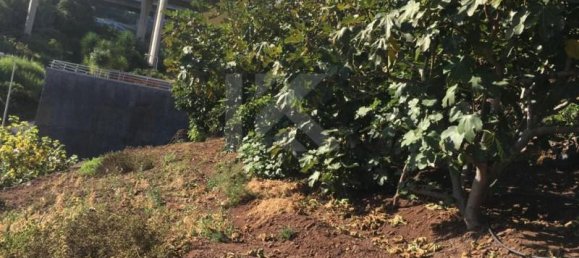 718m² Land in Camara de Lobos, Portugal No. 184475 4