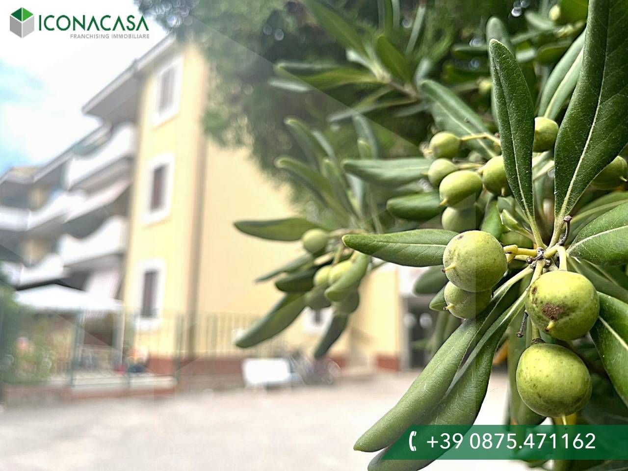 Studio in Campomarino, Italy No. 17734