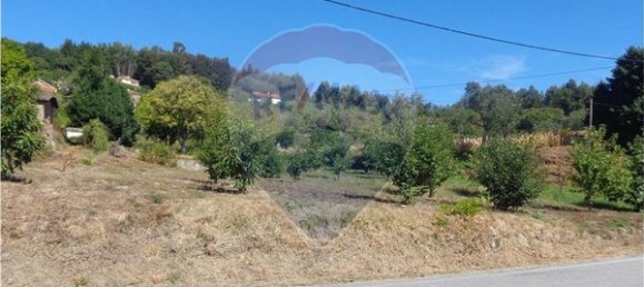 4710m² Land in Tondela, Portugal No. 88098 2