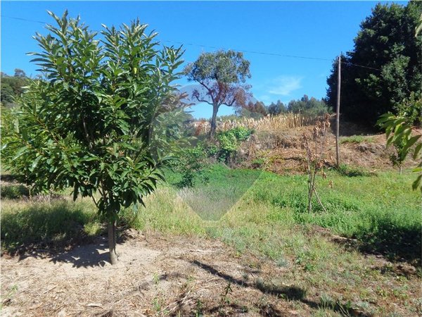 4710m² Land in Tondela, Portugal No. 88098