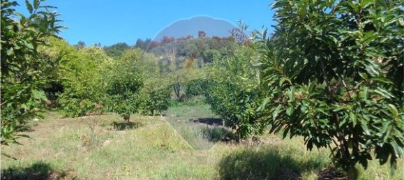 4710m² Land in Tondela, Portugal No. 88098 5