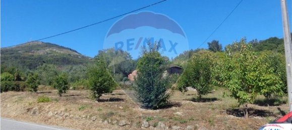 4710m² Land in Tondela, Portugal No. 88098 4