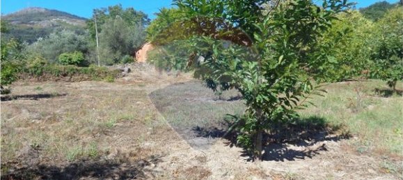 4710m² Land in Tondela, Portugal No. 88098 6
