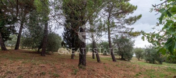 5 bedrooms House in Orvieto, Italy No. 331187 9