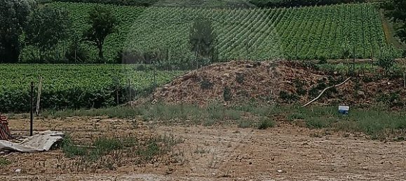 8 bedrooms Castles in Alenquer, Portugal No. 46290 10