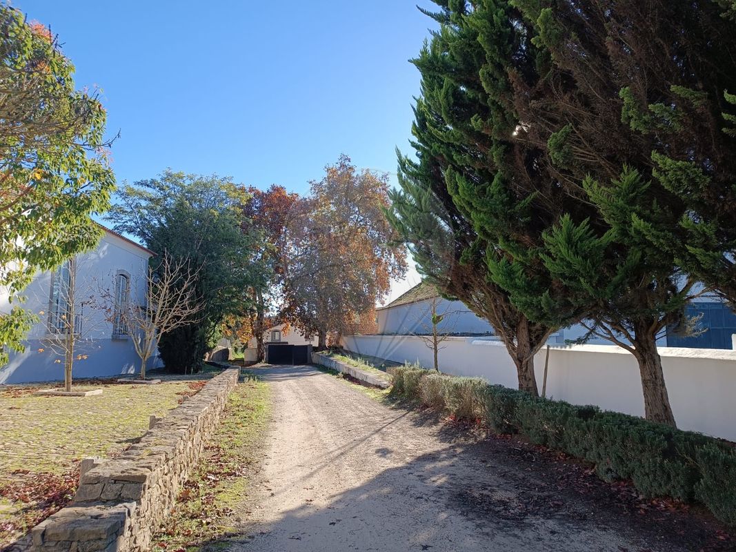 8 bedrooms Castles in Alenquer, Portugal No. 46290