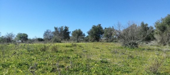  قطعة أرض في Noto, Italy 6700متر مربع رقم 61474 3