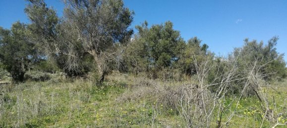  قطعة أرض في Noto, Italy 6700متر مربع رقم 61474 6