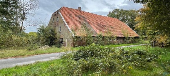 6-Zimmer Bauernhof in Grafschaft Bentheim, Germany, Nr. 196010 13