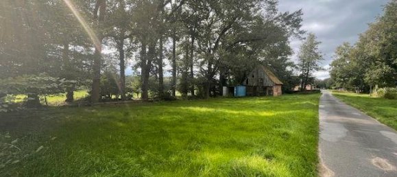 6-Zimmer Bauernhof in Grafschaft Bentheim, Germany, Nr. 196010 4