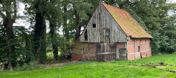 6-Zimmer Bauernhof in Grafschaft Bentheim, Germany, Nr. 196010 9