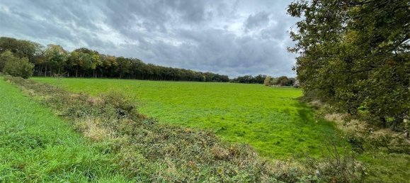 6-Zimmer Bauernhof in Grafschaft Bentheim, Germany, Nr. 196010 8