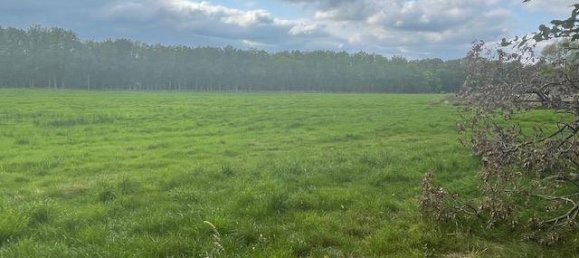 6-Zimmer Bauernhof in Grafschaft Bentheim, Germany, Nr. 196010 5