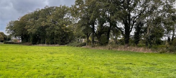 6-Zimmer Bauernhof in Grafschaft Bentheim, Germany, Nr. 196010 11