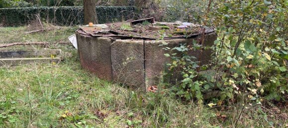 6-Zimmer Bauernhof in Grafschaft Bentheim, Germany, Nr. 196010 6